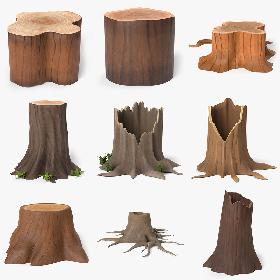 Cartoon Tree Stump Collection 3D model